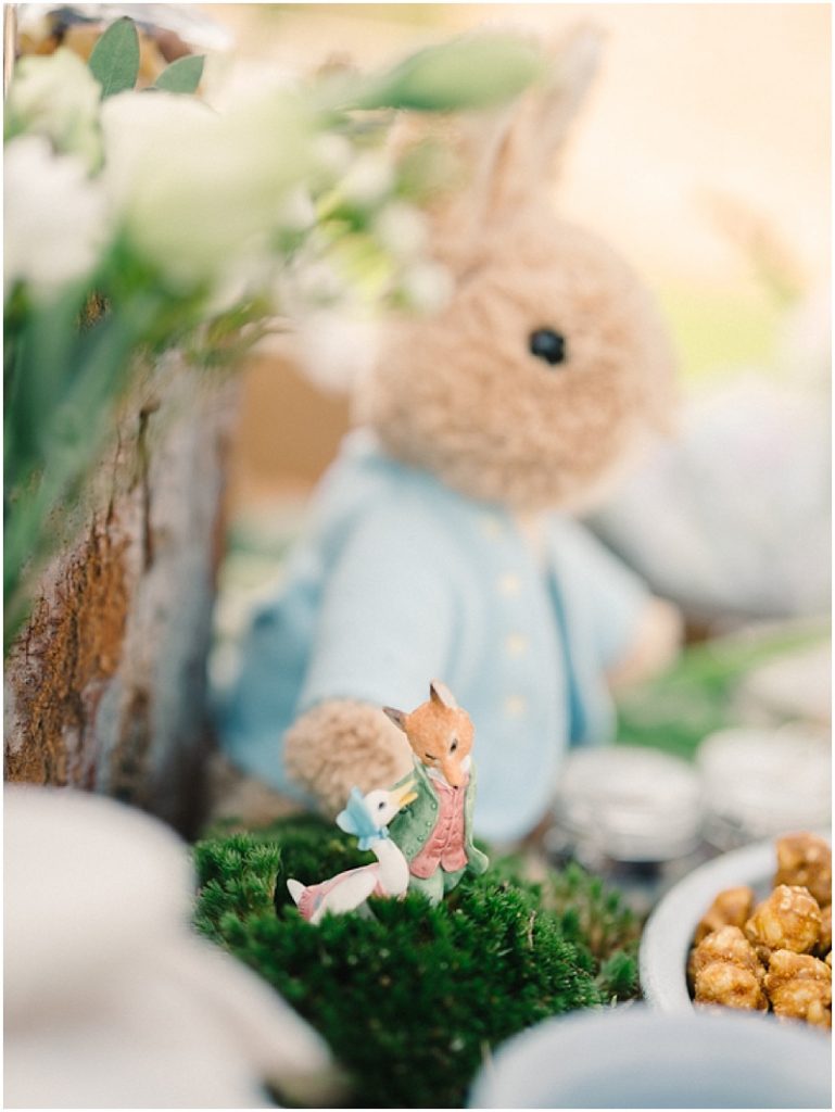 PETER RABBIT THEME PARTY IN DUBAI - STYLING BY MY LOVELY WEDDING
